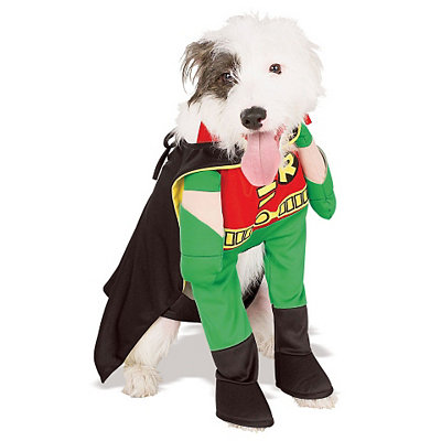 Robin Dog Costume