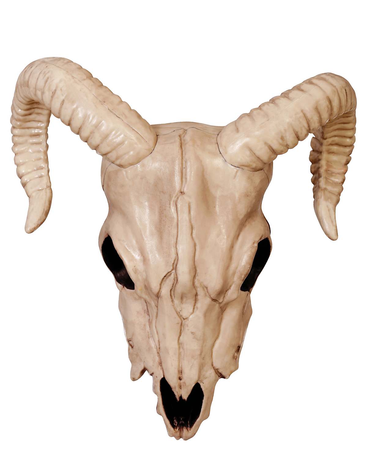 Ram skull decoration