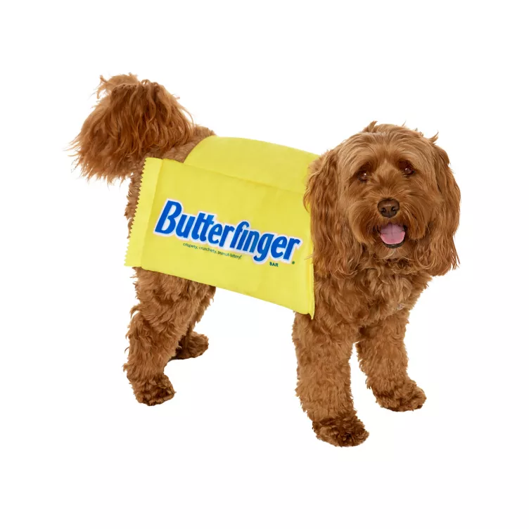 Small dog wearing Butterfinger costume