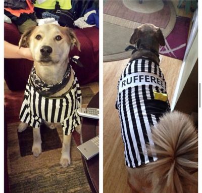 Dog Referee Costume 