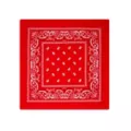 Red Bandana at Spirit Halloween