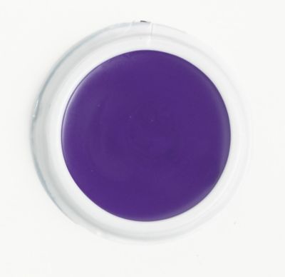Purple Grease Makeup
