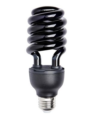 Blacklight Bulb 13 Watt Spirithalloween Com