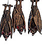 Upside Down Bat - Decorations