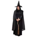 Adult Womens Plus Size Classic Witch Costume at Spirit Halloween