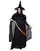 Adult Black Witch Plus Size Costume