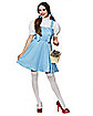 Adult Dorothy Costume - Wizard of Oz