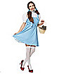 Adult Dorothy Costume - Wizard of Oz