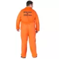 Adult Department of Corrections Prisoner One Piece Costume at Spirit Halloween