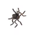 20 Inch Hairy Spider at Spirit Halloween
