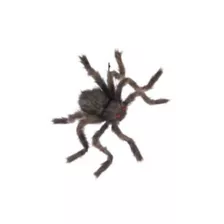 20 Inch Hairy Spider at Spirit Halloween