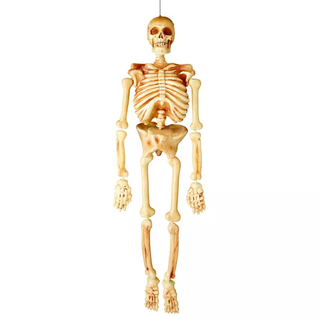 5 Ft Realistic Skeleton - Decorations at Spencer's