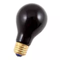 Black Bulb Light 75 Watt at Spirit Halloween