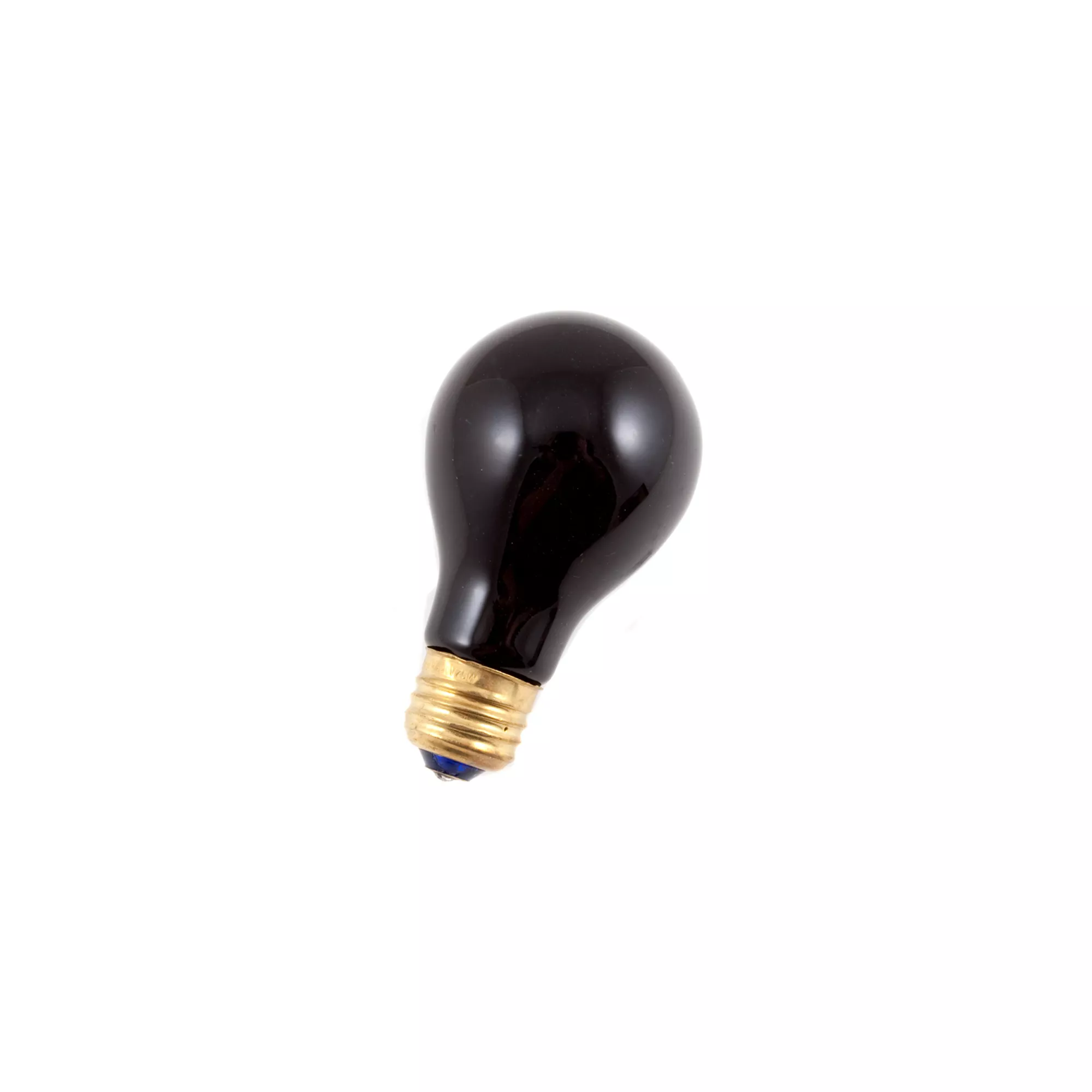 Black Bulb Light 75 Watt at Spirit Halloween