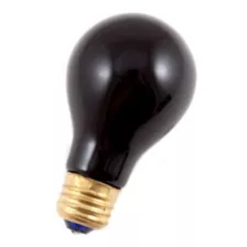 Black Bulb Light 75 Watt at Spirit Halloween
