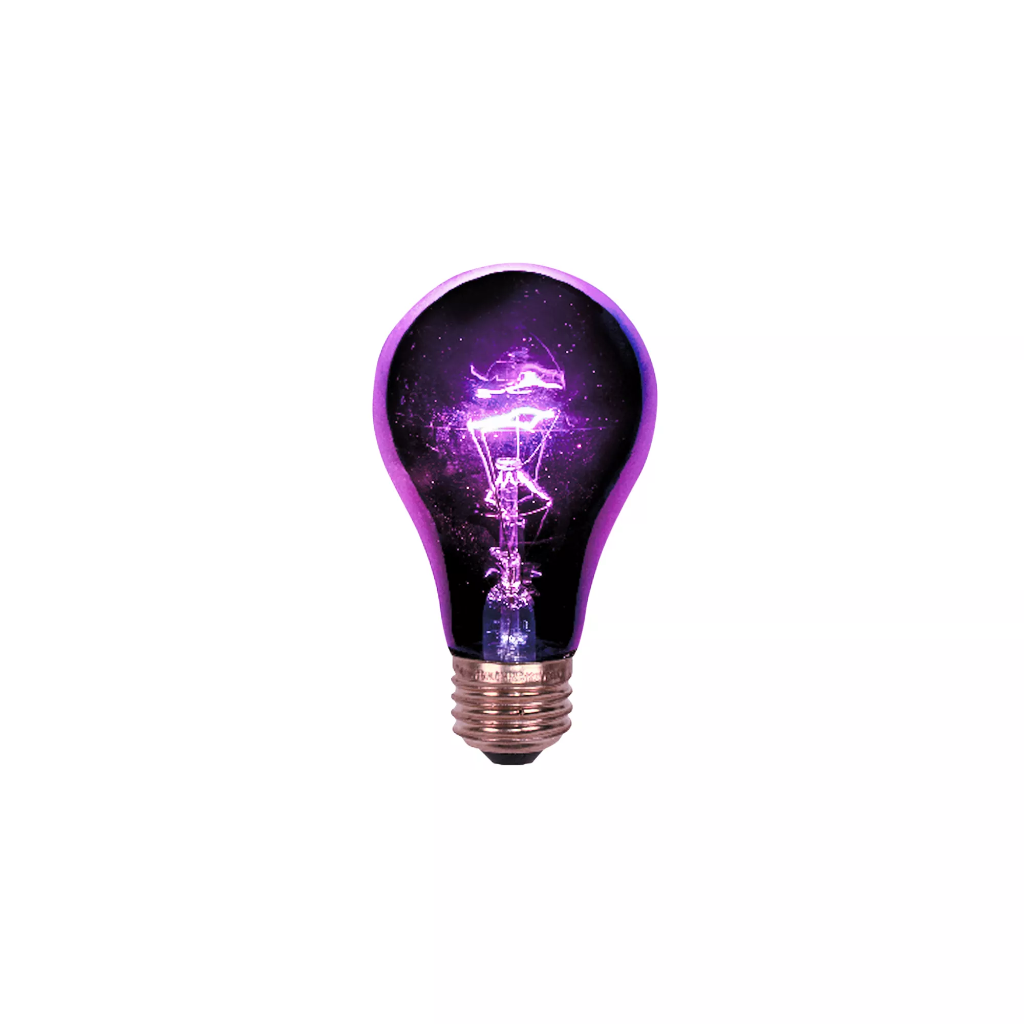 Black Bulb Light 75 Watt at Spirit Halloween