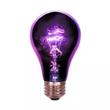 Black Bulb Light 75 Watt at Spirit Halloween