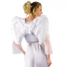 White Faux Feather Wings at Spencer's