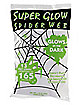 Glow in the Dark Spider Web Decoration