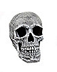 Large Realistic Skull Prop - Decorations