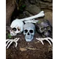 Large Realistic Skull Prop at Spirit Halloween