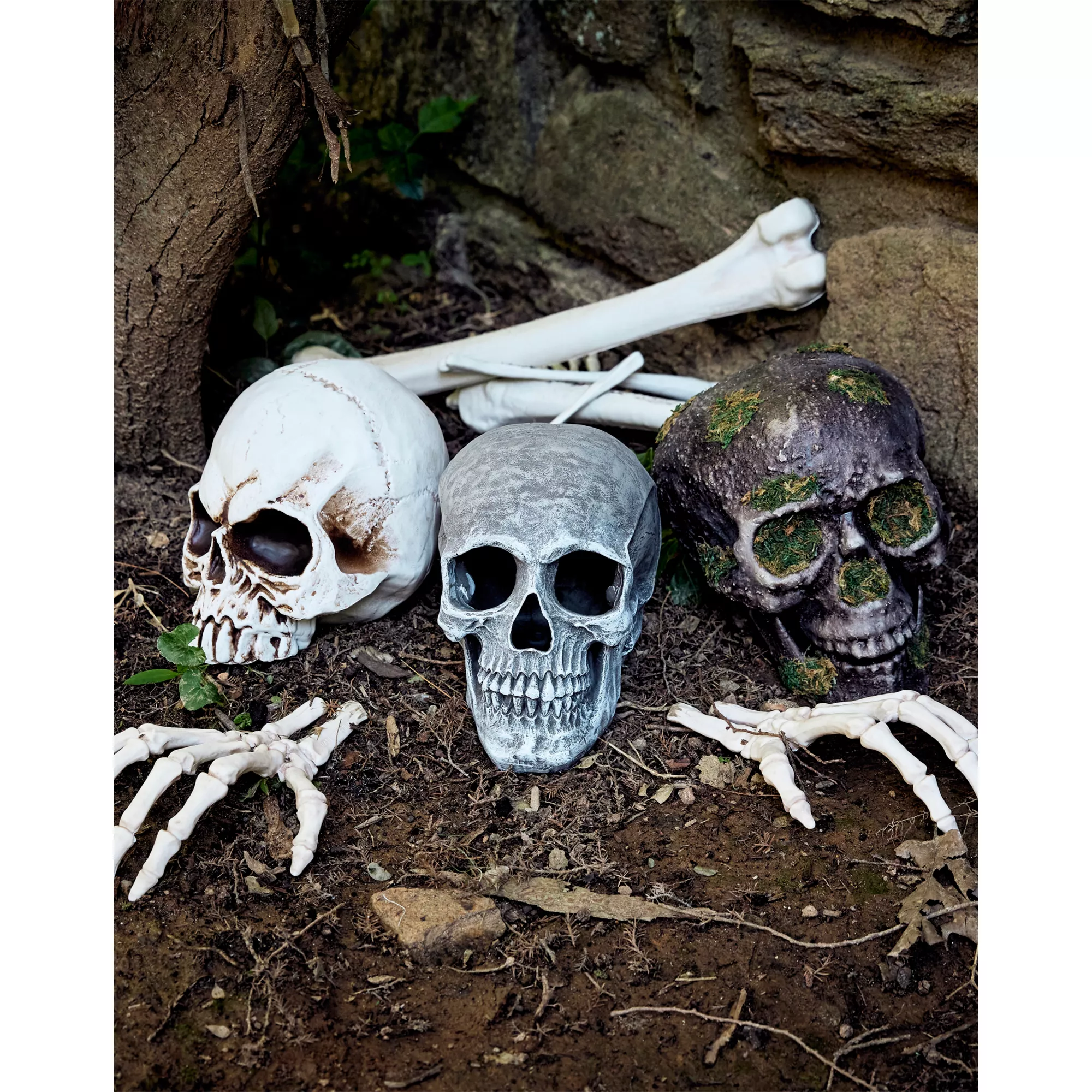 Large Realistic Skull Prop at Spirit Halloween