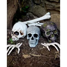 Large Realistic Skull Prop at Spirit Halloween