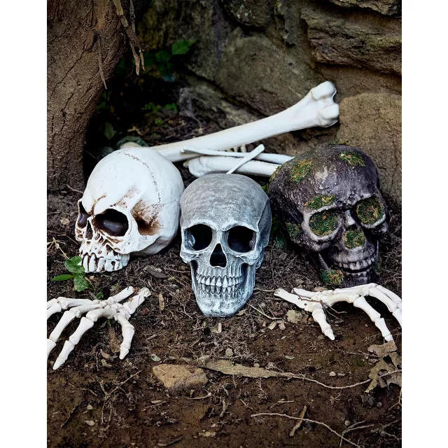 Large Realistic Skull Prop at Spirit Halloween