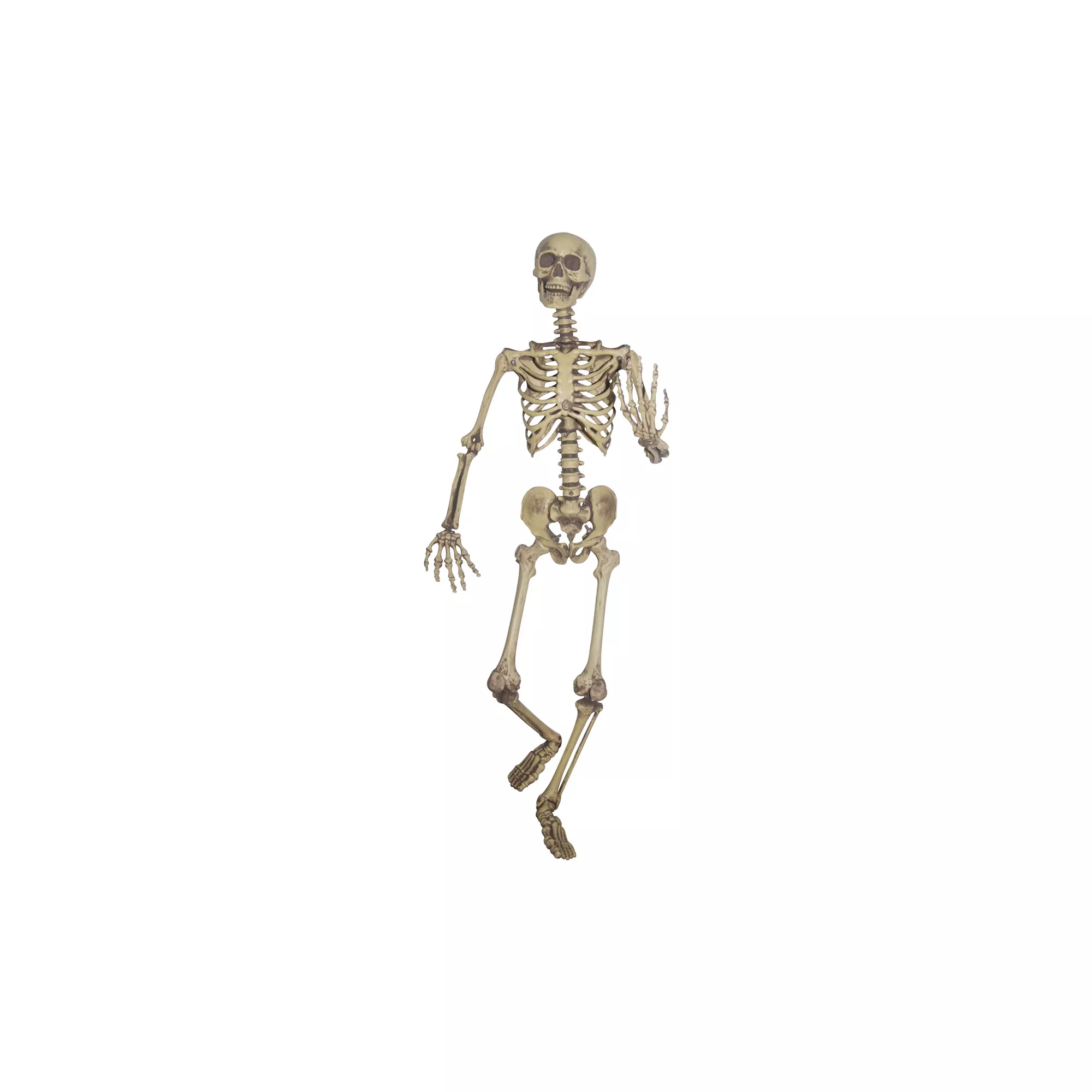 5 Ft Poseable Skeleton at Spirit Halloween