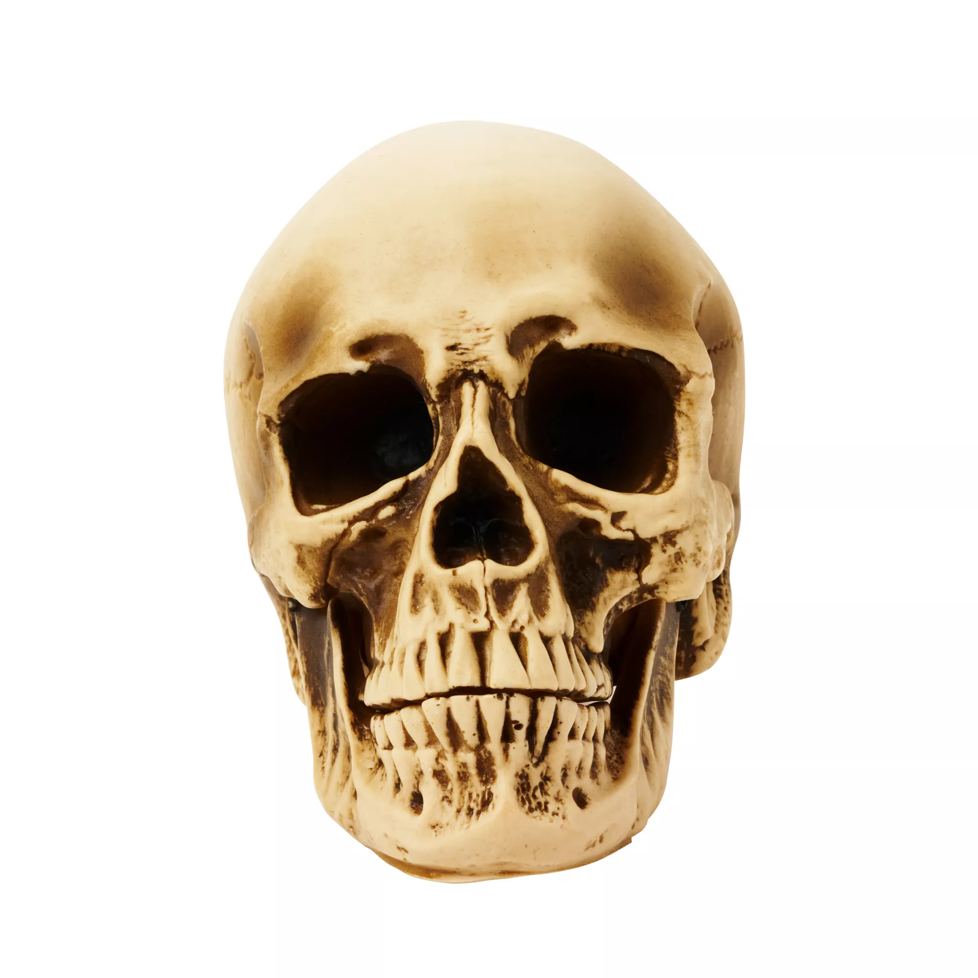 Vinyl Skull at Spirit Halloween