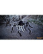 21 Inch LED Black Jumping Spider Animatronics - Decorations