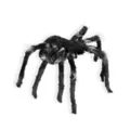 21 In LED Black Jumping Spider Animatronic at Spirit Halloween