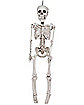 3 ft Plastic Skeleton - Decorations