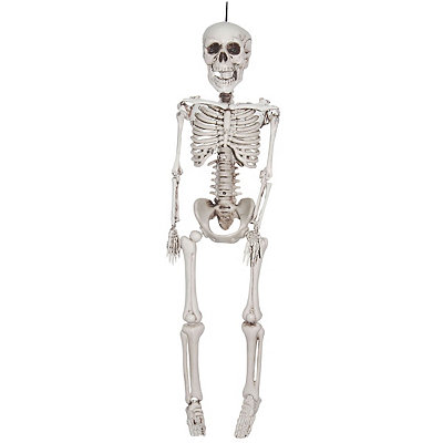  Mini Skeleton, Posable Skeleton Plastic Skeleton