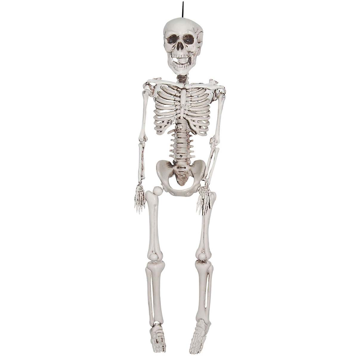 20 In Plastic Skeleton