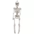 20 In Plastic Skeleton at Spencer's