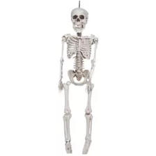 20 In Plastic Skeleton at Spencer's