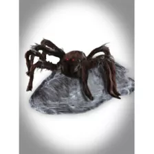 21 In LED Brown Jumping Spider Animatronic at Spirit Halloween