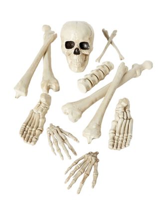 Bag of Bones - Spirithalloween.com