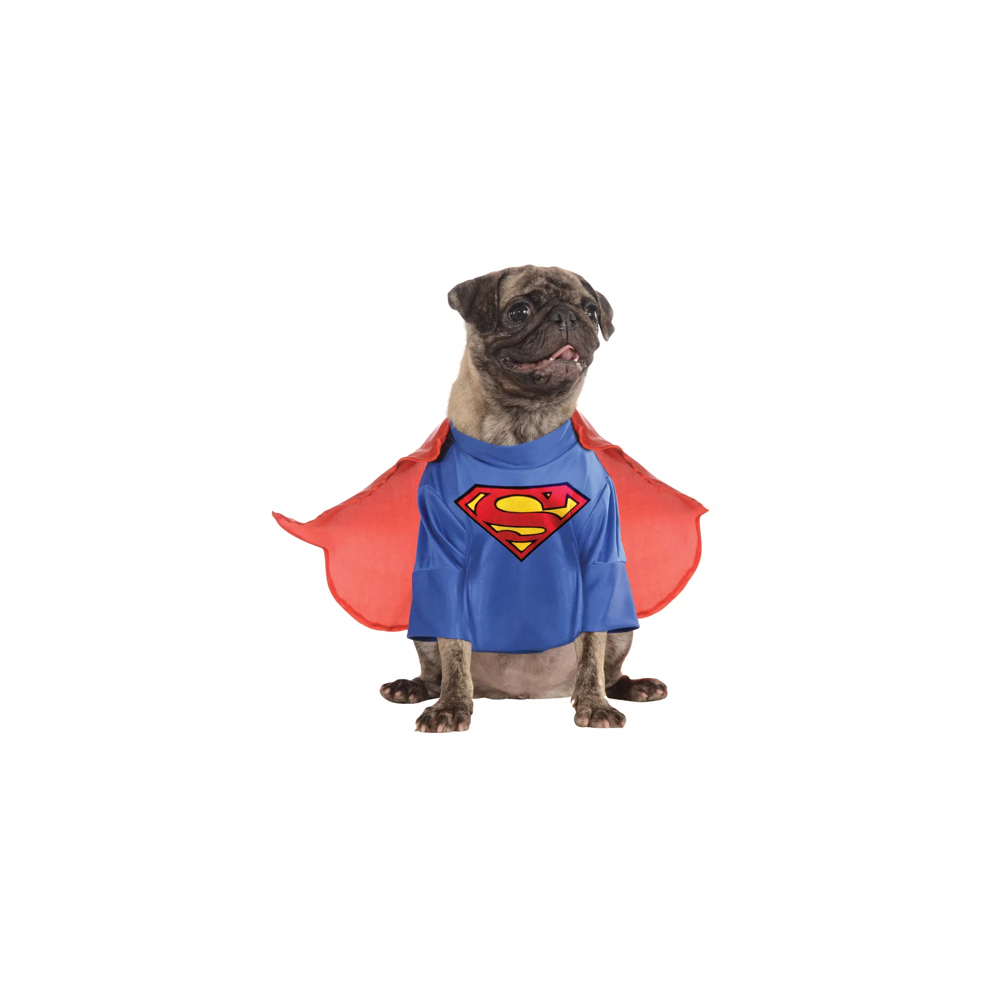 Superman Pet Costume - Superman at Spencer's