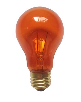 Orange Light Bulb 