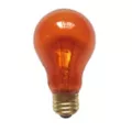 Orange Light Bulb at Spencer's