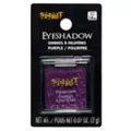 Purple Glitter Eyeshadow at Spencer's