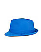 Colored Fedora Hat