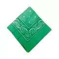 Colored Bandana at Spirit Halloween