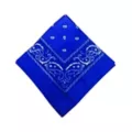 Colored Bandana at Spirit Halloween
