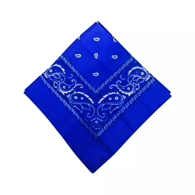Colored Bandana at Spirit Halloween