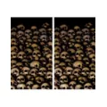 Double Window Skull Catacombs  Poster at Spencer's