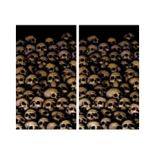 Double Window Skull Catacombs  Poster at Spencer's