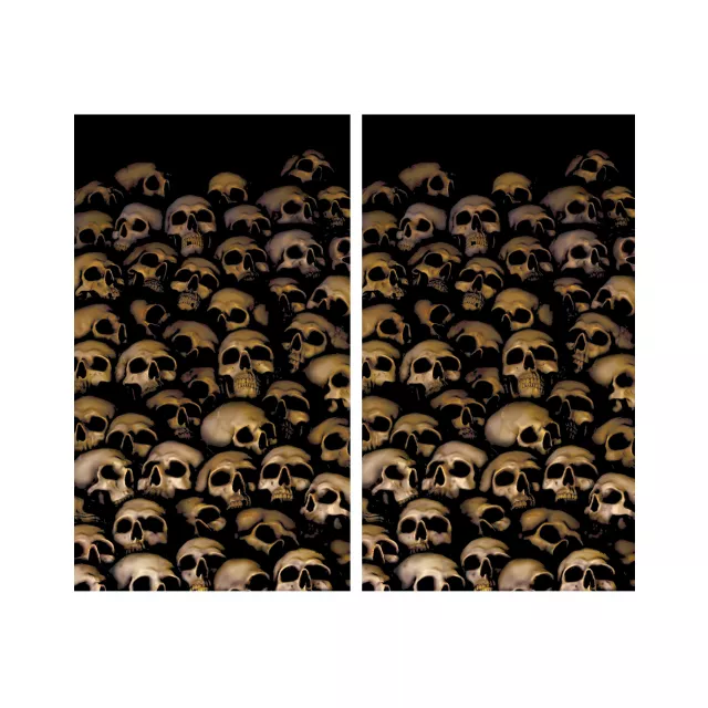 Double Window Skull Catacombs  Poster at Spencer's